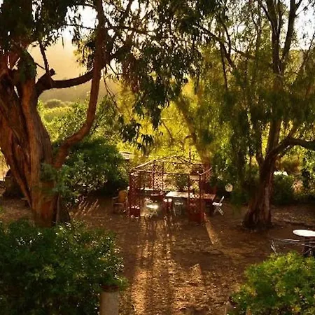 La Vecchia Trebbia 2 Moscato لاكونا