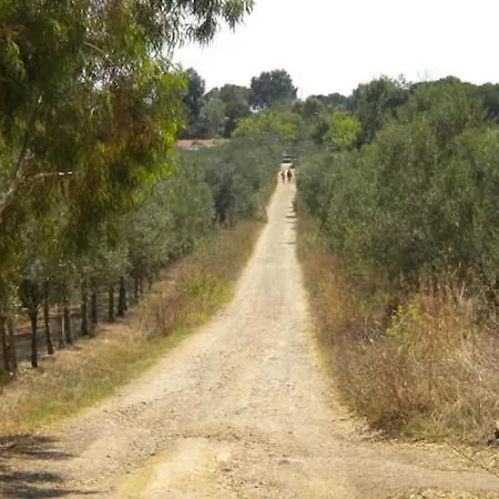 شقة La Vecchia Trebbia 2 Moscato